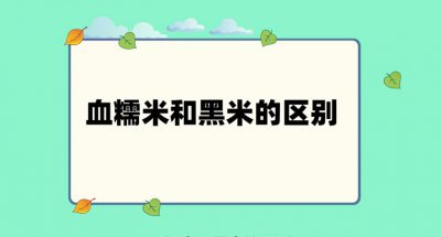 ​血糯米和黑米有什么区别？血糯米和黑米哪个更有营养？