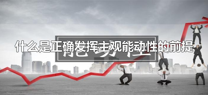 什么是正确发挥主观能动性的前提