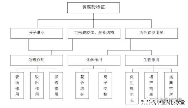 黄腐酸对农业影响（黄腐酸你了解么）(10)