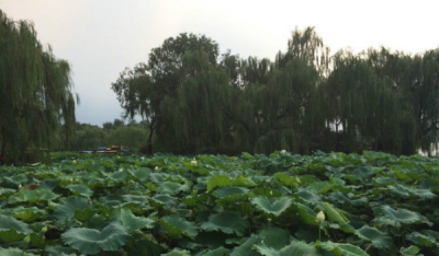 ​初夏是几月份阴历,初夏,仲夏,盛夏的时节分别是几月份