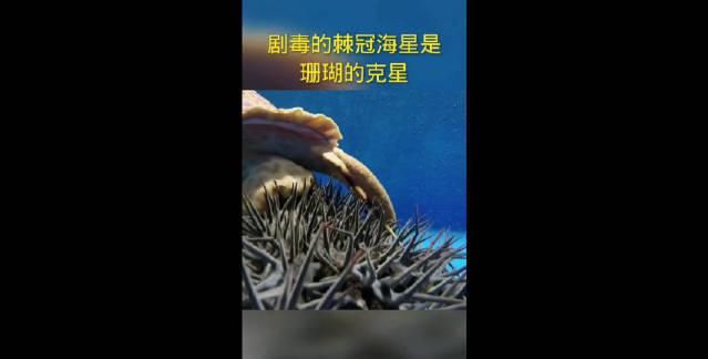 一物降一物的下一句是什么