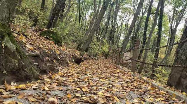 平凉崆峒山景区介绍（道源圣地平凉崆峒山）(24)