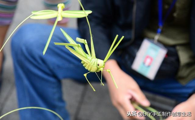 手工制作蚂蚱步骤（还记得小时候老爷爷编的蚱蜢吗）(19)