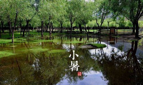 小暑是什么季节