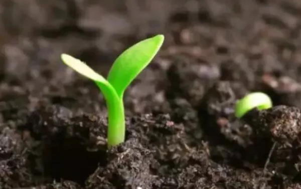 土的最佳含水量,水果含水量怎么算图2