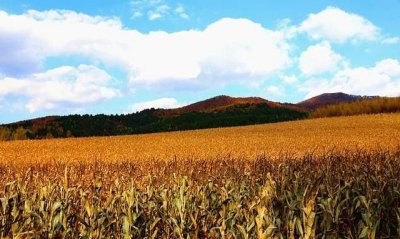 ​离穗是什么意思，广州的地铁是全年无休吗？每天地铁最早在什么时候运行？刚到