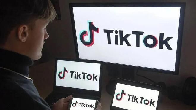 tiktok是什么意思中文翻译