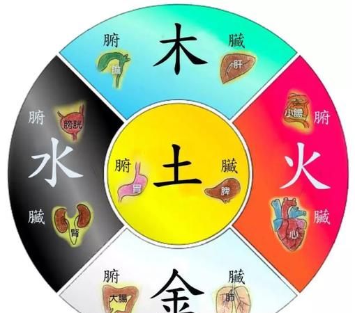 水,金,木,火,土猜一字