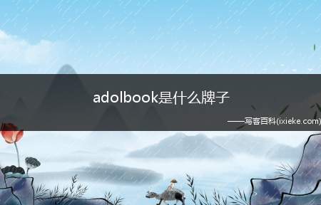 adolbook是什么牌子(中国台湾华硕电脑股份有限公司)