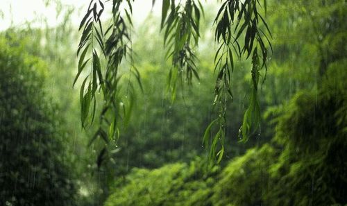 清明时节雨纷纷下一句是什么诗