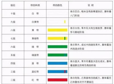 ​跆拳道级别查询网址,如何查询跆拳道证书