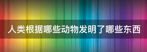 人们根据动物发明了什么,人类根据哪些动物发明了哪些东西以及原理图1