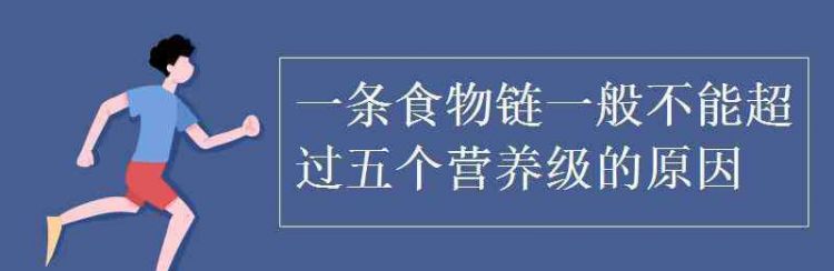 为什么一条食物链上一般不超过5个营养级食物