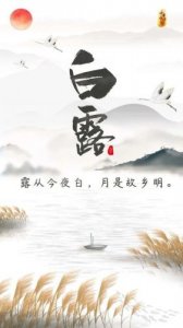 ​露从今夜白,月是故乡明出自哪首诗(露从今夜白,月是故乡明什么意思)