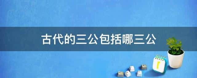 三公九卿的三公包括什么（三公九卿中的三公是指）