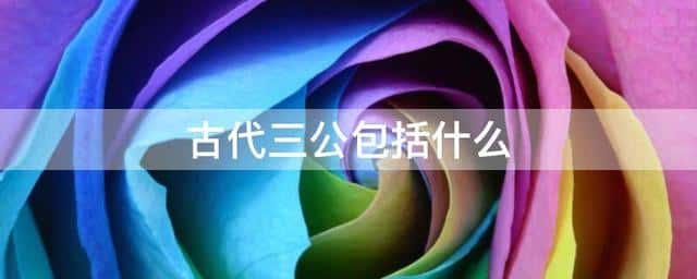 三公九卿的三公包括什么（三公九卿中的三公是指）