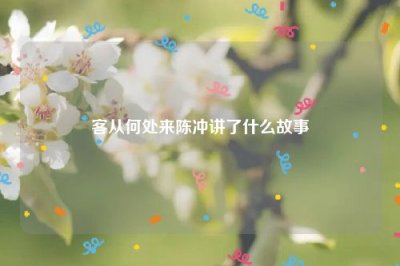 ​客从何处来陈冲讲了什么故事