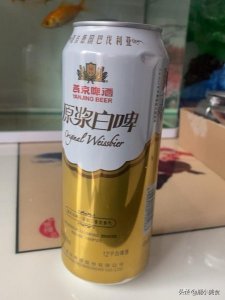 ​青岛啤酒 全麦白啤(青岛啤酒全麦白啤11度500*10罐啤礼盒)