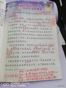 ​《太空生活趣事多》都有哪些趣事呢？重要笔记全在这里