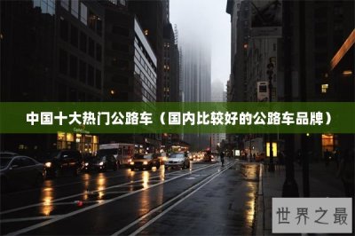 ​中国十大热门公路车（国内比较好的公路车品牌）