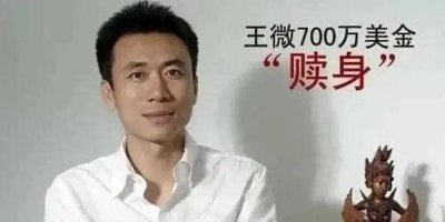 ​谭元元和土豆老板什么关系(土豆网老板王微和谭元元私奔了，结果导致土豆网上市