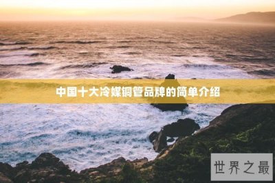 ​中国十大冷媒铜管品牌的简单介绍