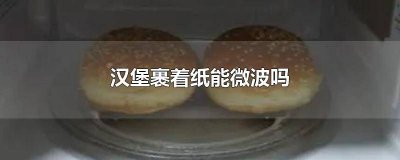 ​汉堡包的纸可以微波加热吗 汉堡连同纸包装能微波么