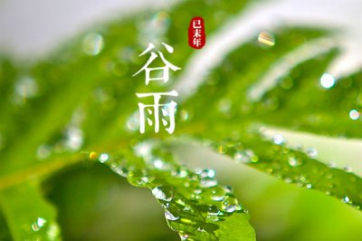 ​谷雨的气候特点有哪些呢（谷雨节气天气 谷雨节气气候特点）