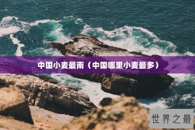 ​中国小麦最南（中国哪里小麦最多）