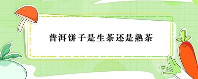 ​普洱饼是生茶还是熟茶？普洱生茶和熟茶的区别怎么看