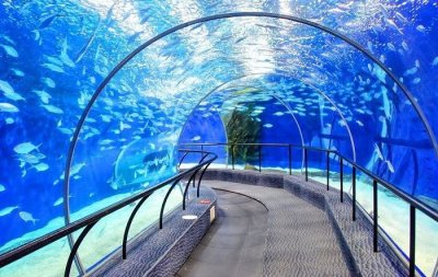 ​上海海洋水族馆旅游攻略（上海亲子游好去处之上海海洋水族馆旅游攻略 ）