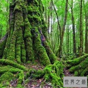 ​全球十大最迷人的原野之地排行榜，有人间天堂的体验