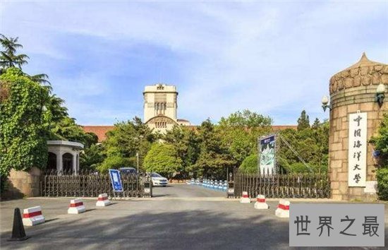 中国十大最美大学，武大樱花摘得桂冠！