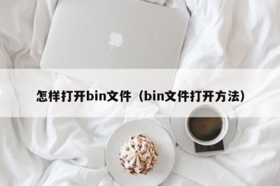 ​怎样打开bin文件（bin文件打开方法）