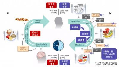 ​可能帮你「睡个好觉」的10种食物，快收藏！