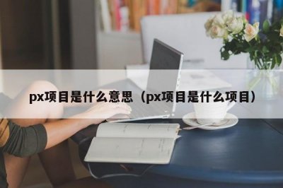 ​px项目是什么意思（px项目是什么项目）