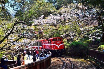 ​阿里山旅游攻略， 春季旅游景点推荐