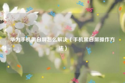 ​华为手机黑白屏怎么解决（手机黑白屏操作方法）