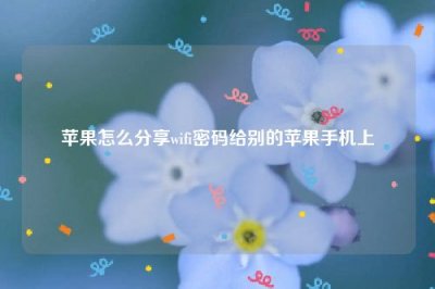 ​苹果怎么分享wifi密码给别的苹果手机上