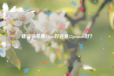 ​建议买苹果13pro好还是12promax好？