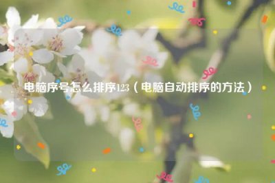 ​电脑序号怎么排序123（电脑自动排序的方法）