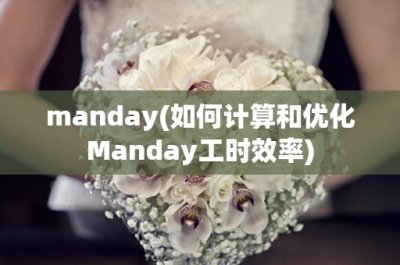 ​manday(如何计算和优化Manday工时效率)