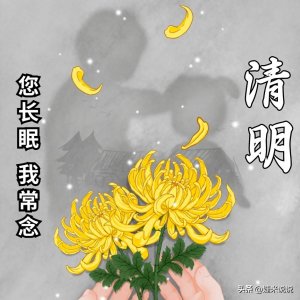 ​想念天堂妈妈伤感短句(清明节思念父母的文案｜思难忘泪两行，世上不见爹和娘)