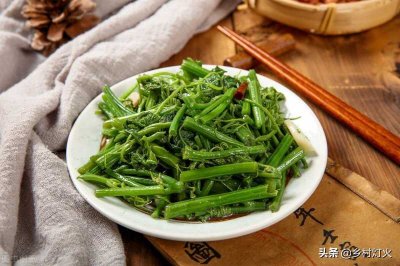 ​龙须菜(龙须菜到底是什么菜？龙须菜产量怎么样？如何种植？)