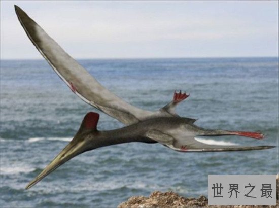 世界上最大的飞行动物风神翼龙 争霸天空以恐龙为食物