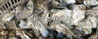 ​生蚝怎么清理视频教程 怎么清洗生蚝视频教程