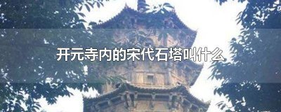 ​福建省泉州市开元寺内的石塔 位于泉州市开元寺内的塔