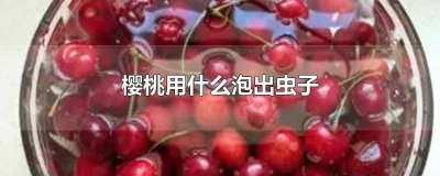 ​大樱桃怎么泡出虫子 樱桃拿什么泡出虫子