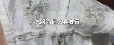 ​冬天衣物会发霉吗 冬天衣服发霉了