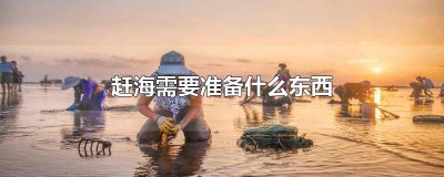 ​赶海要带什么东西 赶海都需要带什么东西